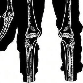 Sudaderas con capucha para hombre, diseño de moda, personaliza tu propio logo, 100% algodón, para adultos, personalizadas - Product Image 5