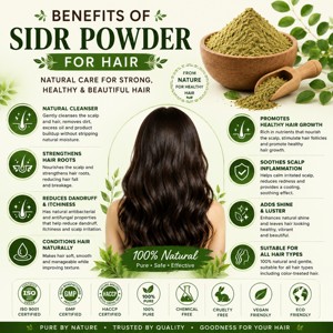 Polvo de Hoja de Sidr OEM 100% Puro y Natural (Ziziphus Spina Christi) para Favorecer el Crecimiento del Cabello, Reducir la Caída del Cabello y Fortalecer las Raíces - Product Image 3