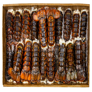 Mariscos Frescos y Congelados, Colas de Langosta Congeladas, Marca Personalizada, Origen Bélgica, 2 Años de Vida Útil - Product Image 2