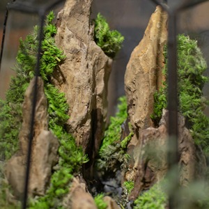 Terrarium décoratif en verre pour plantes d'intérieur, succulentes, mousse, décoration de table pour la maison et le bureau, et article cadeau, vente en gros depuis l'Inde - Product Image 4