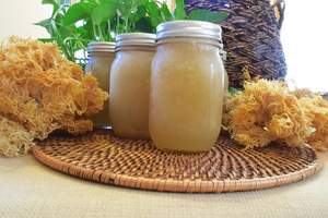 Vente en gros d'algues déshydratées en vrac, mousse de mer séchée organique pour une utilisation de qualité alimentaire avec des prix compétitifs de l'usine du Vietnam. - Product Image 2