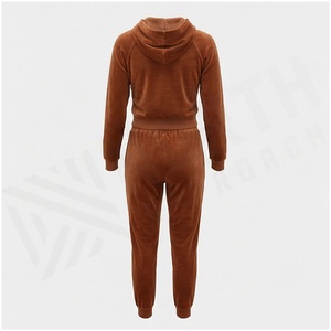 <b>Women</b> <b>Brown</b> Velour Hooded Tracksuit Full Sleeve Zipper Front Jogger Set Casual Autumn Wear Solid Color Two Piece Outfit - Product Image 2