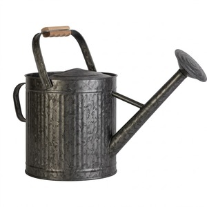 Regadera de metal rústica al por mayor, regadera de hierro galvanizado negra para jardín con boquilla pulverizadora extraíble y doble asa - Product Image 1