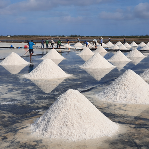 Sal marina mediterránea seca al sol sin aditivos para exportación y suministro OEM, sal marina natural, sal marina pura, sal marina gruesa |   Sra. Alina - Product Image 4