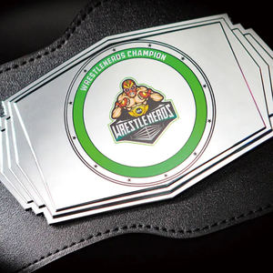 Hebillas de Acero Inoxidable con PVC Holográfico Transparente, Personalizadas al por Mayor, de Alta Calidad, Modernas, Unisex, Personalizables - Product Image 3