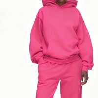 Hoodie Heavyweight Pria Sweatshirt Streetwear Pakaian Grafis Terinspirasi Web Cetak Puff ODM Vendor Grosir Siap Kirim Versi Dasar