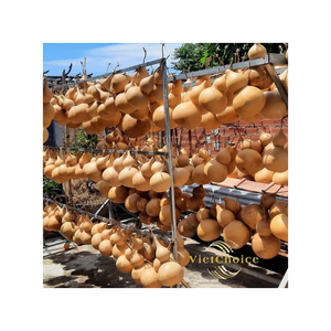 Vietchoice Premium Blank <b>Natural</b> Dried Bottle Gourd for DIY Crafting <b>Painting</b> and Carving - Product Image 5