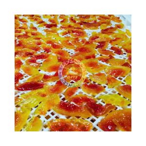 Ananas séché en tranches, coupé, du Vietnam, best-seller, mélange de fruits tropicaux, collation 100% naturelle, emballage sous vide, qualité supérieure - Product Image 2