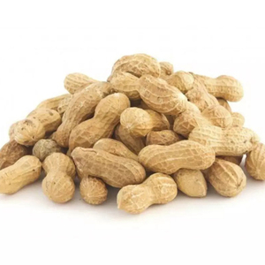 Compre Cacahuetes Crudos Secos con Cáscara al por Mayor a Precio de Mayoreo para Exportación - Product Image 3