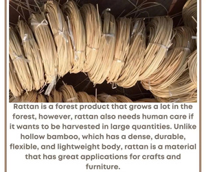 PRIX D'USINE : Noyau de rotin naturel de haute qualité à prix avantageux pour les meubles en rotin et le tressage de paniers - Product Image 3