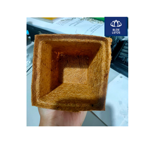 PRODUIT PHARE : Pot en fibre de coco écologique, pur coco bio, idéal pour la culture de semis et la pépinière – Vendeur direct - Product Image 1
