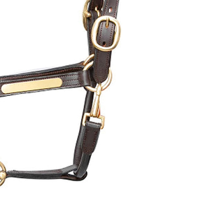 Cabestro Ecuestre Personalizado con Logotipo, Cómodo, de Cuero Genuino, con Cuerda, de Cintura Alta para Carreras de Caballos, con Empaque Personalizado - Product Image 4