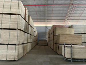 Okoume/ Bintangor Birch Face Plywood <b>Sheets</b> 12mm 15mm 18mm Sanded Surface for Furniture Indoor Use - Product Image 6
