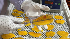 Mango Orgánico Deshidratado, Sin Azúcar Añadido, Sin Conservantes, Totalmente Natural, Calidad Premium en Bolsa Reutilizable de 3 Libras, 99 Gold Data - Product Image 6