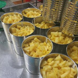 Pineapple en Rodajas Fresca y Sostenible en Almíbar, Fruta Enlatada, Trozos de Piña Conservada de Vietnam - Product Image 4