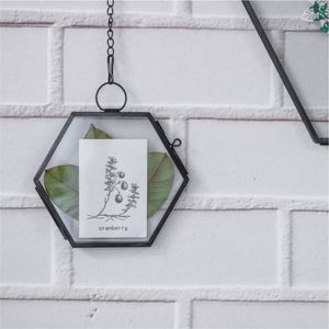 Modern Hexagon Floating Photo Frame Metal Wall Hanging <b>Display</b> <b>Case</b> For Dried Flowers And Pressed Leaf Art Home Glass Frame - Product Image 1