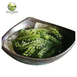 Umidoto Orgánico Seco, Alga Marina de Fácil Rehidratación, Caviar Verde Nutritivo para Comida Vegana y Platos Gourmet - Product Image 3