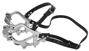Instrument professionnel de traitement buccal vétérinaire, écarteur buccal vétérinaire pour soins dentaires des animaux - Product Image 2