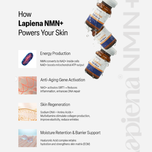 เซรั่มบำรุงผิวหน้าเกาหลี NMN Plus Brightening Serum ไนอะซินาไมด์ ช่วยเพิ่มความชุ่มชื้น ยืดหยุ่น เรียบเนียน - Product Image 3