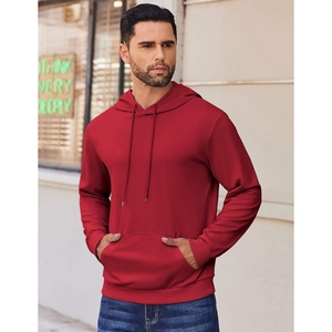 Wholesale Lightweight Men's Hoodies Custom Color Pullover Quick Dry Breathable Cotton Blended Hot Selling Hoodies Men - Product Image 2