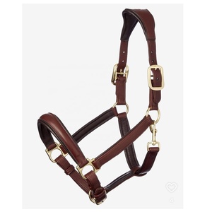 Cabestro de Cuero de Lujo para Caballo con Herrajes Originales de Latón, Doble Ajuste en la Cabeza, Acolchado de Cuero Suave, Estilo Inglés - Product Image 1