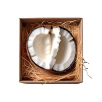 Vente en gros de fibres de coco longues de marque BASAGRI, emballage en balles de haute qualité, agriculture indonésienne pour les acheteurs exportateurs européens