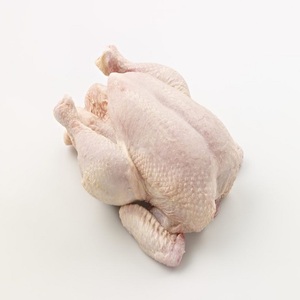 เนื้อไก่แช่แข็ง คอไก่ ขาไก่ ปีกไก่ แบบทั้งชิ้น บรรจุในขวดโหล คุณภาพพรีเมียม ขายส่ง จัดส่งรวดเร็ว ปรุงสุกแล้ว - Product Image 3