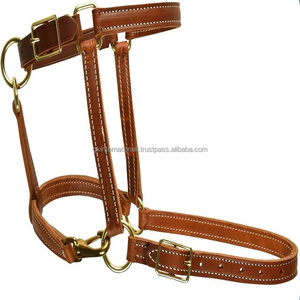 Produits personnalisés de course équestre pour chevaux licou en cuir véritable avec rembourrage doux coutures contrastées et quincaillerie en laiton - Product Image 5