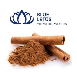 Bâtonnets de cannelle vietnamienne les plus vendus pour les recettes de pâtisserie et les infusions de boissons – Approvisionnement durable en gros - Product Image 1