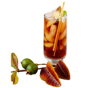 Oferta Especial: Hojas de Guayaba Secas Crudas de Vietnam en Saco Kraft de 200 kg, Suministro Directo, Proveedor Comercial, Origen Vietnam, a Granel - Product Image 6