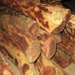 100% Pure Natural Indian Sandalwood <b>Essential</b> <b>Oil</b> | Santalum Album <b>Oil</b> | Premium Sandalwood <b>Oil</b> <b>for</b> Aromatherapy, <b>Diffuser</b> & Ski - Product Image 6