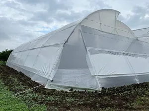 Cradle of Life Silpaulin, Rollos de Lámina de LDPE de Doble Capa para Invernaderos Agrícolas Multi-Span, para Protección de Cultivos - Product Image 6