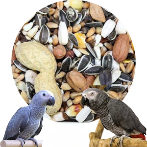 Mélange de graines naturelles pour oiseaux OEM – Toutes variétés de millet, mélange nutritif multi-céréales pour perroquets, perruches, canaris, pinsons, oiseaux domestiques et sauvages - Product Image 6