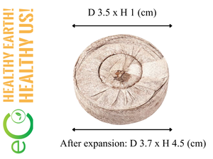 Bloc de fibres de coco Eco2go Vietnam, substrat de culture biodégradable pour plantes, haute rétention d'eau et léger - Product Image 5