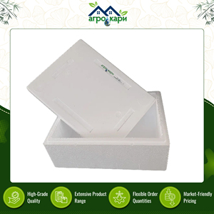 Premium Quality Lightweight 100% Recyclable Food & Medical Products <b>Storage</b> and Transport 11-Liter EPE Styrofoam <b>Box</b> with Lid - Product Image 4