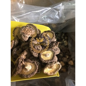 เห็ดชิทาเกะแห้งออร์แกนิกอาหารแห้งเห็ดชิทาเกะคุณภาพสูงราคาขายส่งจากเวียดนาม - Product Image 2