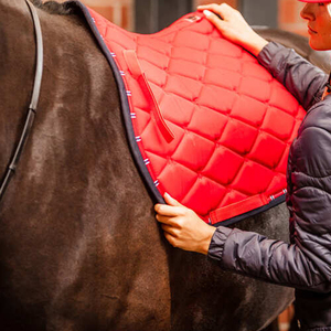 Tapis de selle pour cheval de haute qualité, écologique, tout usage, 500 GSM, coton, marque privée, vente en gros, tapis équestres - Product Image 5