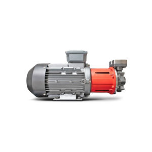 Motor de Bomba de Transferencia de Aceite Caliente Industrial para Sistema de Calentamiento de Fluidos Térmicos, Motor de Alta Eficiencia Resistente al Calor - Product Image 2