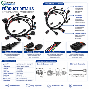 Rangkaian Kabel Sepeda Motor Kustom OEM ODM, Perakitan Kabel Lampu LED, Kabel Harness untuk Perahu dan Sepeda Motor - Product Image 3