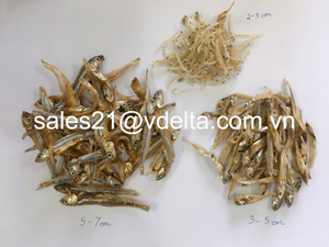 ปลากะตักอบแห้งจำนวนมากจากเวียดนาม: ปราศจากสารกันบูดเค็มแห้งตากแดดราคาไม่แพง/คุณลิมา - Product Image 3