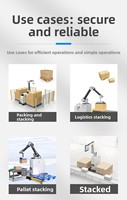 Robot palettiseur entièrement automatique LIANGZO, manipulateur industriel, moteur 1 kW, alimentation 110V/220V/380V, carton