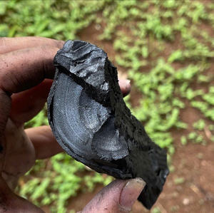 Carbón Vegetal Negro de Madera Dura para Barbacoa, Restaurante, Empresa Biodegradable, Precio Económico, Sin Humo, Larga Duración, Ecológico - Product Image 6