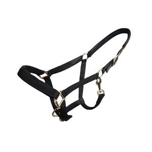 Meilleure qualité Style anglais cheval licou fait à la main Durable Nylon doux néoprène rembourrage confortable personnalisable couleur taille - Product Image 2