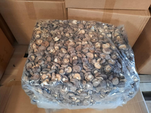 Vietnam Whole Dried Shiitake Mushrooms-3-4cm Cap 1-2cm Thickness Air Dried No Additives VIETDELTA Brand for Bulk Importers - Product Image 6