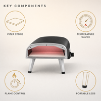 Four à pizza au propane portable de 12 pouces O-12G-T, four à pizza pour le camping en plein air, vente en gros