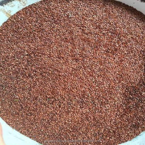 Pemasok Jumlah Besar Bubuk Mimosa Pudica dari India - Product Image 3