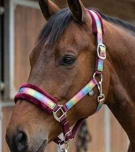 HM GLOBAL - Cabestro Anatómico Ajustable para Caballos, Acolchado de Felpa, con Hebillas de Acero, Ecológico, Estilo Ecuestre Occidental - Product Image 6