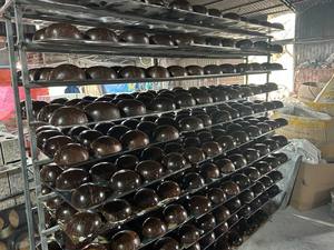 Bols décoratifs en noix de coco gravés, vente en gros, modernes, uniques, artisanaux, polis, durables, écologiques - Product Image 4