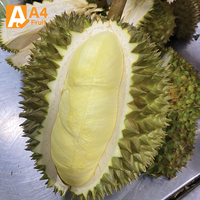 Verse Thaise Monthong Durian, hele vruchten |   Premium kwaliteit |   Zoet romig vlees |   0,5 kg/fruit |   13,5 cm |   Khey Taladthai |   23