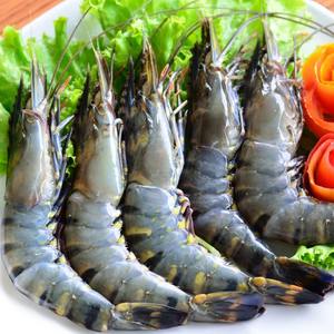 Camarones Congelados de Primera Calidad, Frescos de Aguas Frías, Camarones Congelados a Granel, Ideales para Mercados Mayoristas y de Exportación - Product Image 6